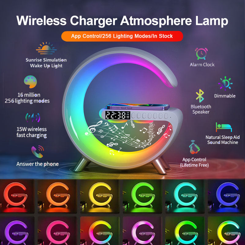 Intelligent Wireless Charger