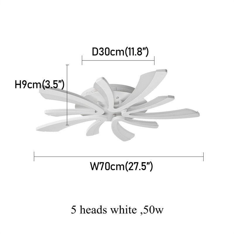 Acrylic Led Ceiling Lamp