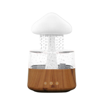Rain Cloud Air Humidifier
